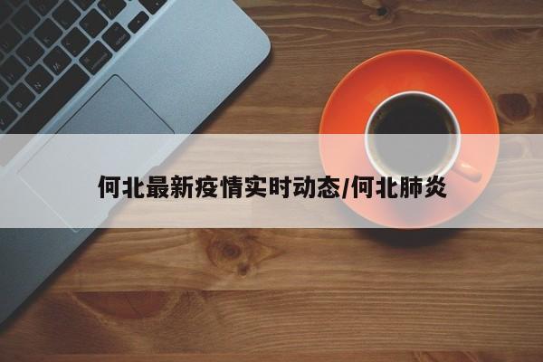 何北最新疫情实时动态／何北肺炎