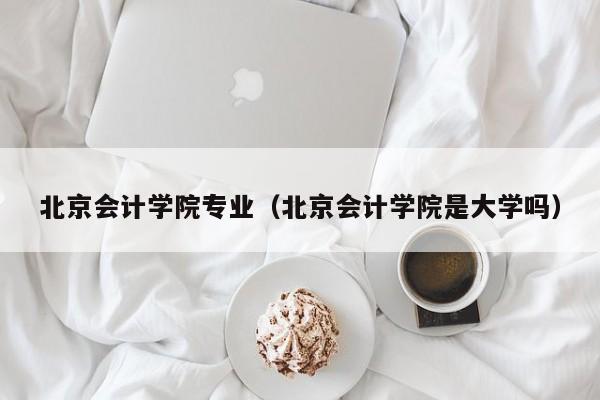 北京会计学院专业（北京会计学院是大学吗）