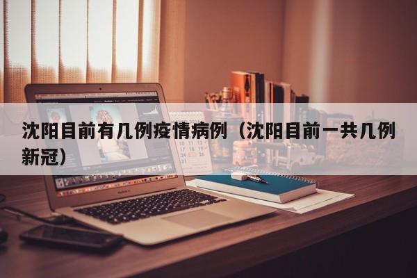 沈阳目前有几例疫情病例（沈阳目前一共几例新冠）