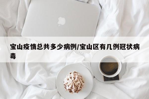 宝山疫情总共多少病例／宝山区有几例冠状病毒