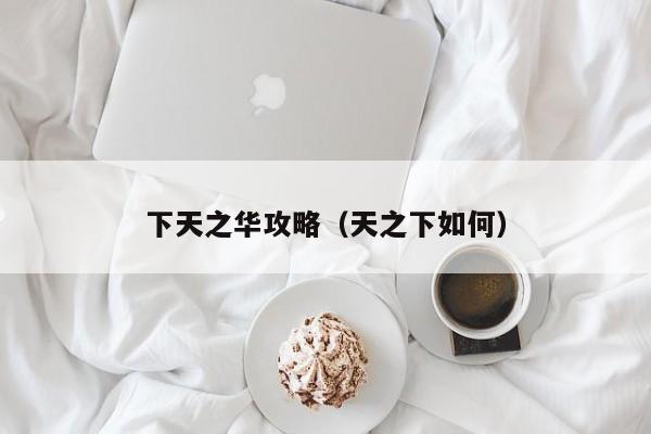 下天之华攻略（天之下如何）