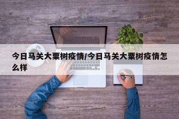 今日马关大粟树疫情／今日马关大粟树疫情怎么样