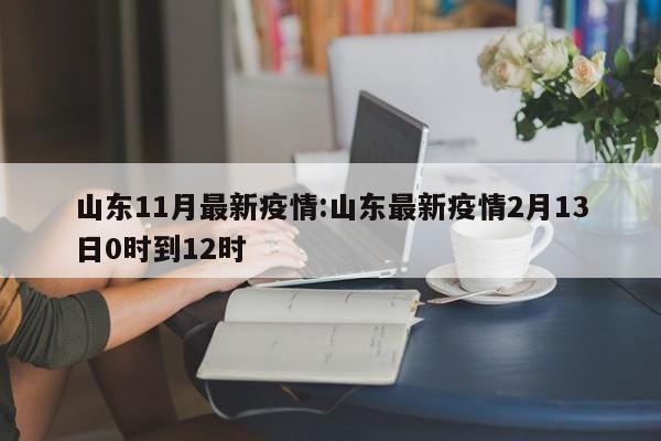 山东11月最新疫情：山东最新疫情2月13日0时到12时