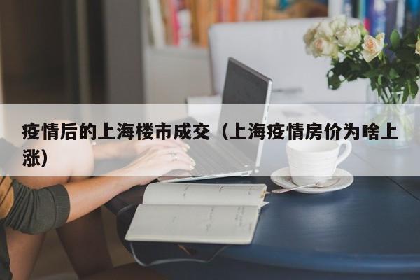 疫情后的上海楼市成交（上海疫情房价为啥上涨）
